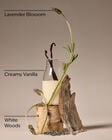 Lavender Vanilla Mason Single Wick Candle image number null