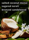Coco Paradise Signature Single Wick Candle image number null