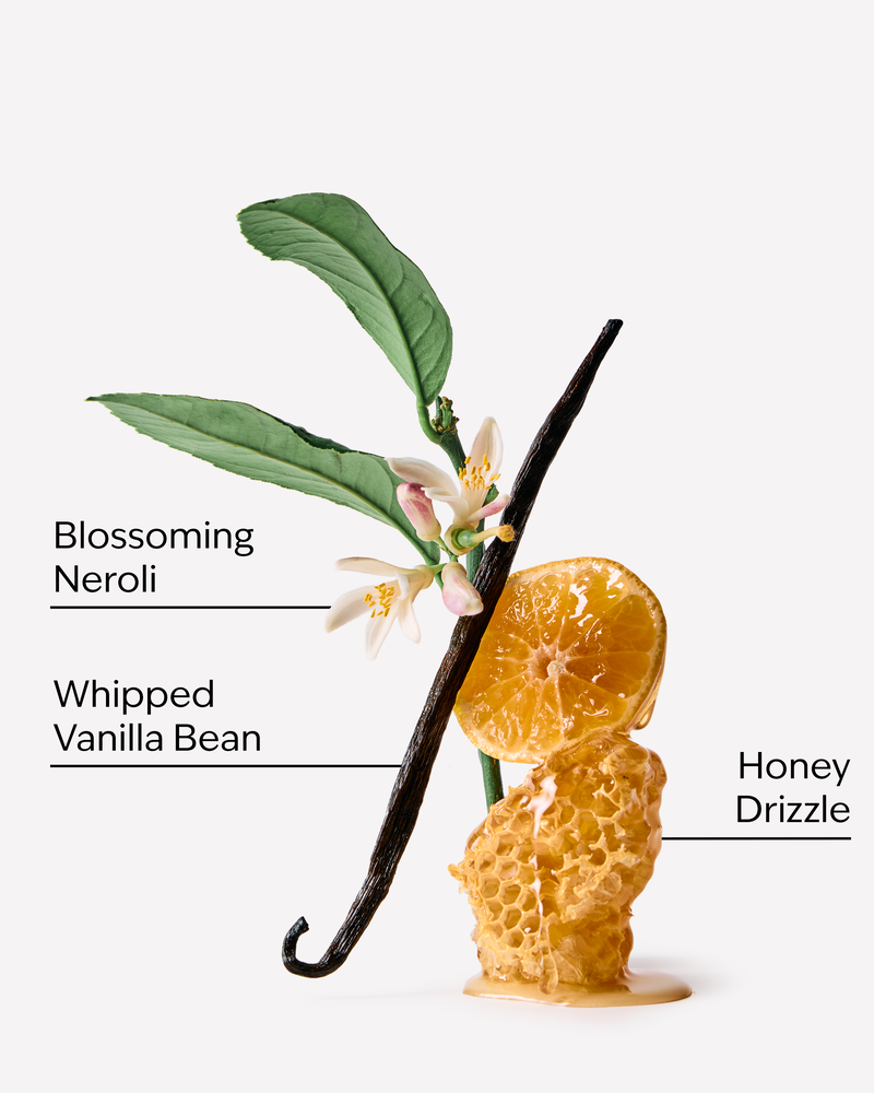Whipped Honey & Vanilla Wallflowers Fragrance Refill Wallflowers Fragrance Refill