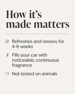 Eucalyptus Spearmint Car Fragrance Refill