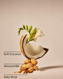 Coconut Linen Wallflowers Fragrance Refill image number null