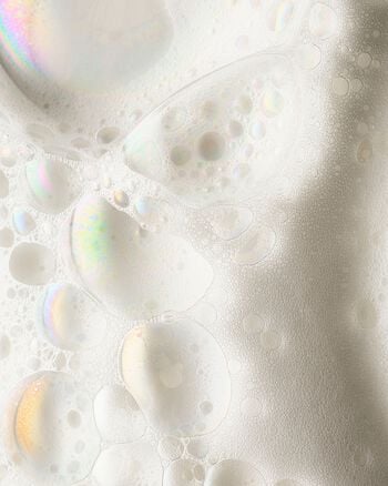 Whipped Honey & Vanilla Gentle & Clean Foaming Hand Soap Gentle & Clean Foaming Hand Soap