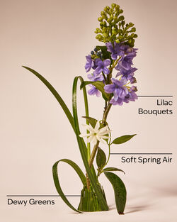 Fresh Cut Lilacs 3-Wick Candle image number null