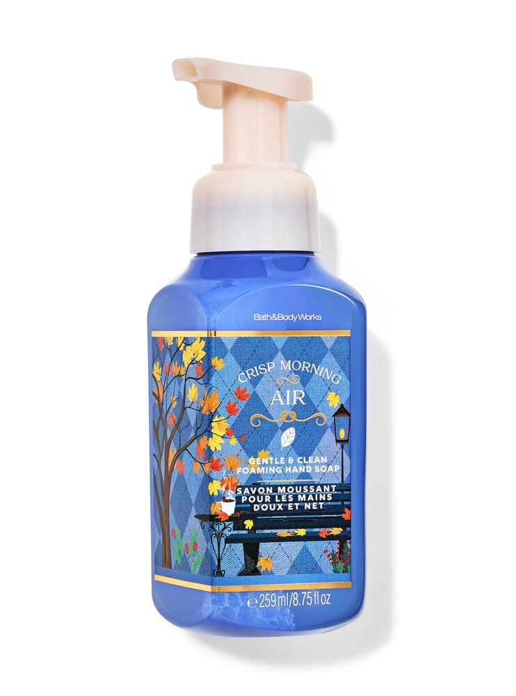 Crisp Morning Air Gentle & Clean Foaming Hand Soap Gentle & Clean Foaming Hand Soap