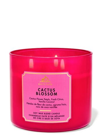 Cactus Blossom 3-Wick Candle 3-Wick Candle