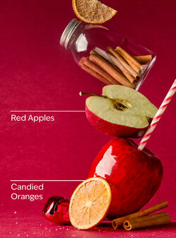 Winter Candy Apple Body Wash image number null