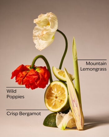 Mountainside Wildflower 3-Wick Candle 3-Wick Candle