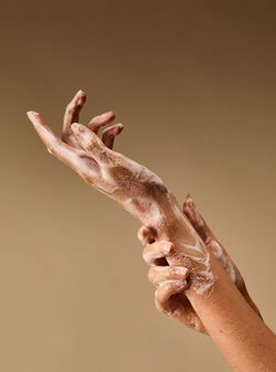 Rose Water & Ivy Gentle & Clean Foaming Hand Soap image number null