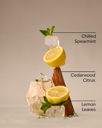 Fresh Amalfi Lemon Concentrated Room Spray Concentrated Room Spray