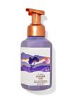 Wildflower Fields Gentle & Clean Foaming Hand Soap image number null