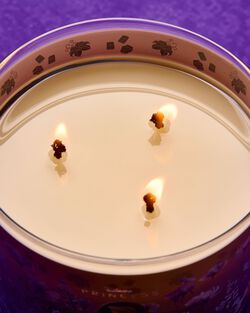 Rapunzel 3-Wick Candle image number null