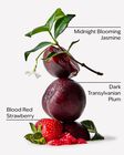 Vampire Blood Body Wash image number null