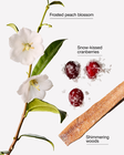 Snowy Peach Berry 3-Wick Candle image number null
