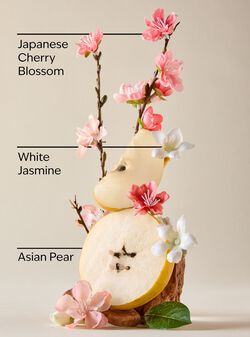 Japanese Cherry Blossom Body Butter image number null