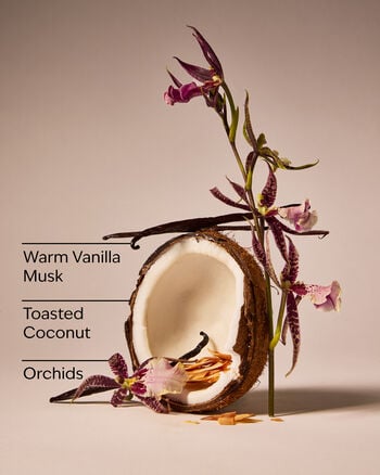 Tiki Beach Concentrated Room Spray Concentrated Room Spray