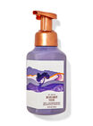 Wildflower Fields Gentle & Clean Foaming Hand Soap image number null
