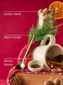 Cozy Winter Cottage 3-Wick Candle image number null