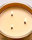 Peach Blossom & Nectar 3-Wick Candle image number null