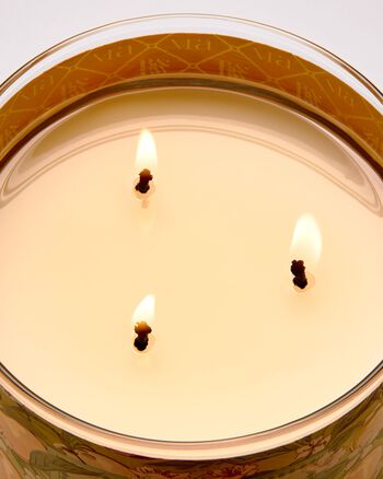 Peach Blossom & Nectar 3-Wick Candle 3-Wick Candle