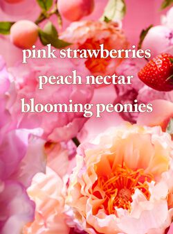 Gingham Gorgeous Foaming Sugar Body Scrub image number null