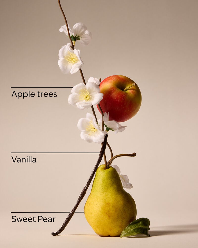 Spring Apple Single Wick Candle Single Wick Candle