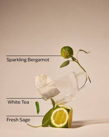 White Tea & Sage Gentle & Clean Foaming Hand Soap Gentle & Clean Foaming Hand Soap