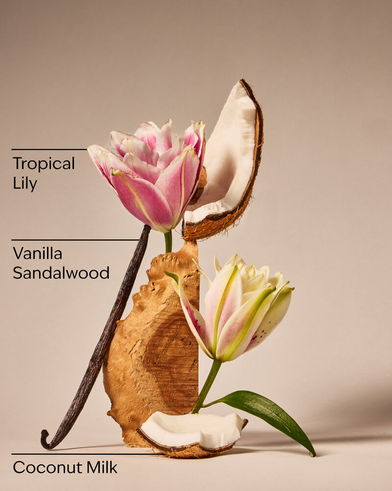 Eau De Coconut Ultimate Hydration Body Cream Ultimate Hydration Body Cream