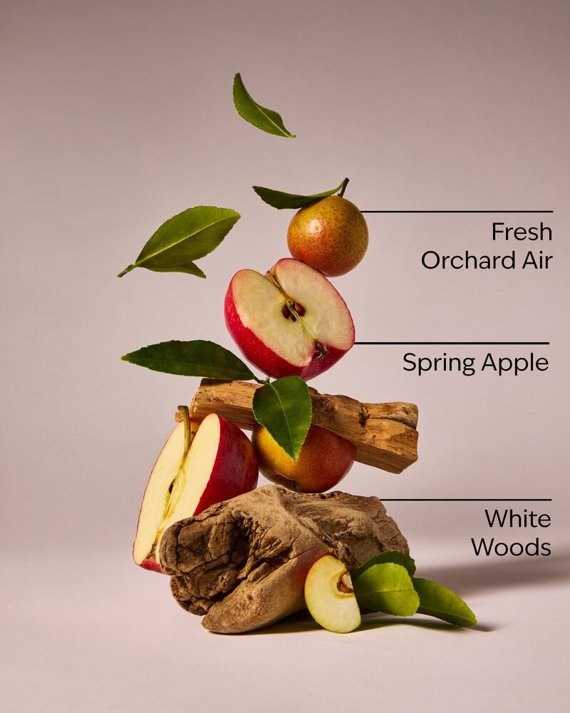 Blue Orchard Skies 3-Wick Candle 3-Wick Candle