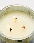 Carrot & Nectarine 3-Wick Candle image number null