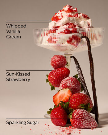 Strawberry Lover Wallflowers Fragrance Refill Wallflowers Fragrance Refill