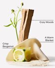 Book Loft Wallflowers Fragrance Refill image number null