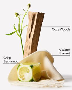 Book Loft Wallflowers Fragrance Refill image number null