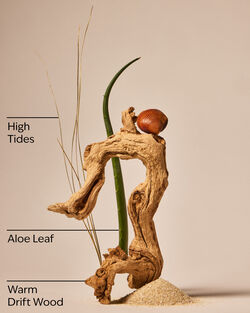 Freshwater Waves Gentle & Clean Foaming Hand Soap