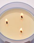 Violet & Musk 3-Wick Candle image number null