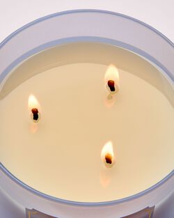 Violet & Musk 3-Wick Candle image number null