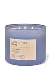 Eucalyptus Rain 3-Wick Candle image number null