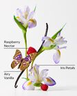 Butterfly Body Lotion image number null
