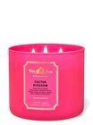 Cactus Blossom 3-Wick Candle image number null