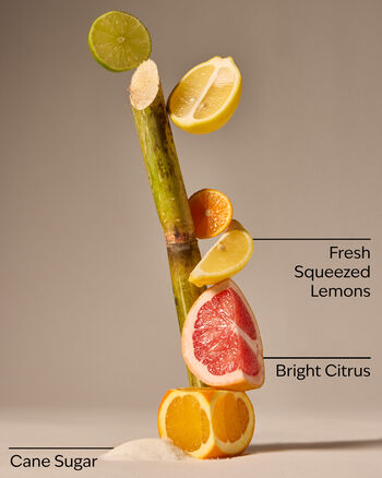 Sunshine & Lemons Sanitizing Hand Gel Hand Sanitizer Gel