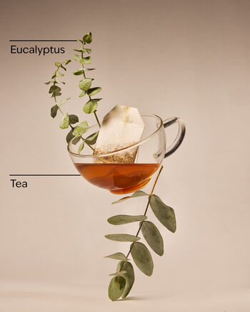 Eucalyptus Tea Single Wick Candle Single Wick Candle