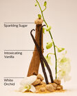 Warm Vanilla Sugar Gentle & Clean Foaming Hand Soap image number null