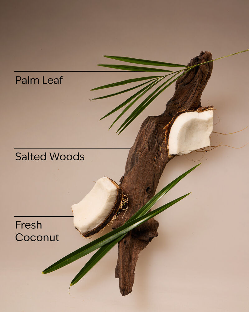 Coconut Nectar Travel Size Fine Fragrance Mist Travel Size Fine Fragrance Mist