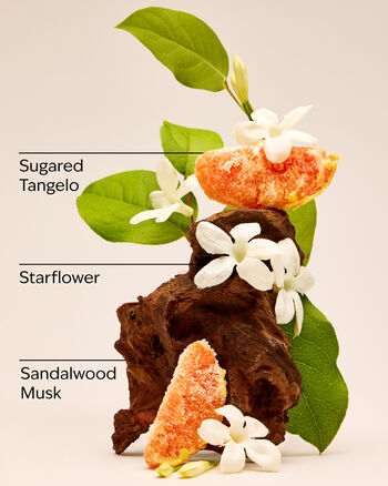 In The Stars Wallflowers Fragrance Refill Wallflowers Fragrance Refill