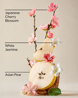 Japanese Cherry Blossom Gift Set image number null