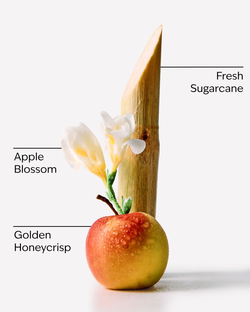 Honeycrisp Apple 3-Wick Candle 3-Wick Candle