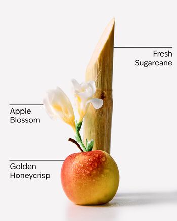 Honeycrisp Apple 3-Wick Candle 3-Wick Candle