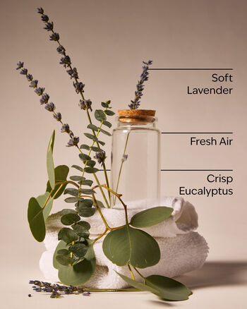 Laundry Day Wallflowers Fragrance Refill Wallflowers Fragrance Refill