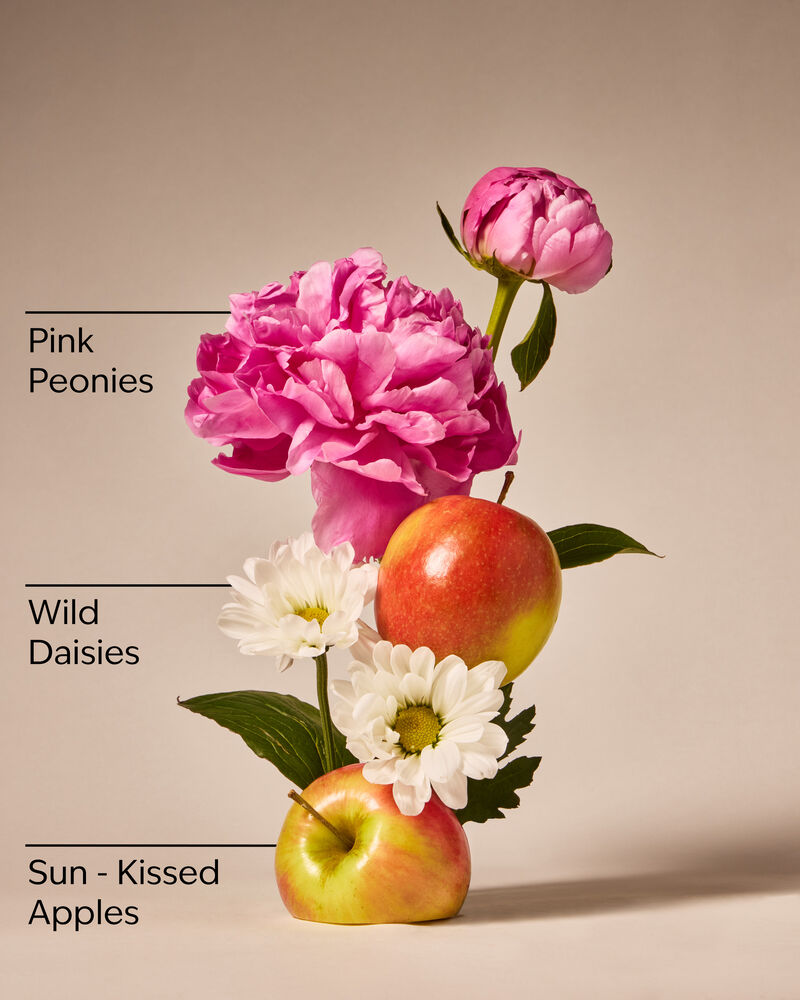 Beautiful Day Wallflowers Refills 2-Pack Wallflowers Fragrance Refills, 2-Pack