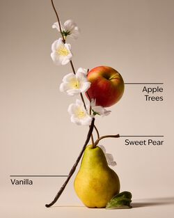 Spring Apple Single Wick Candle image number null