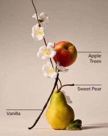 Spring Apple Single Wick Candle Single Wick Candle